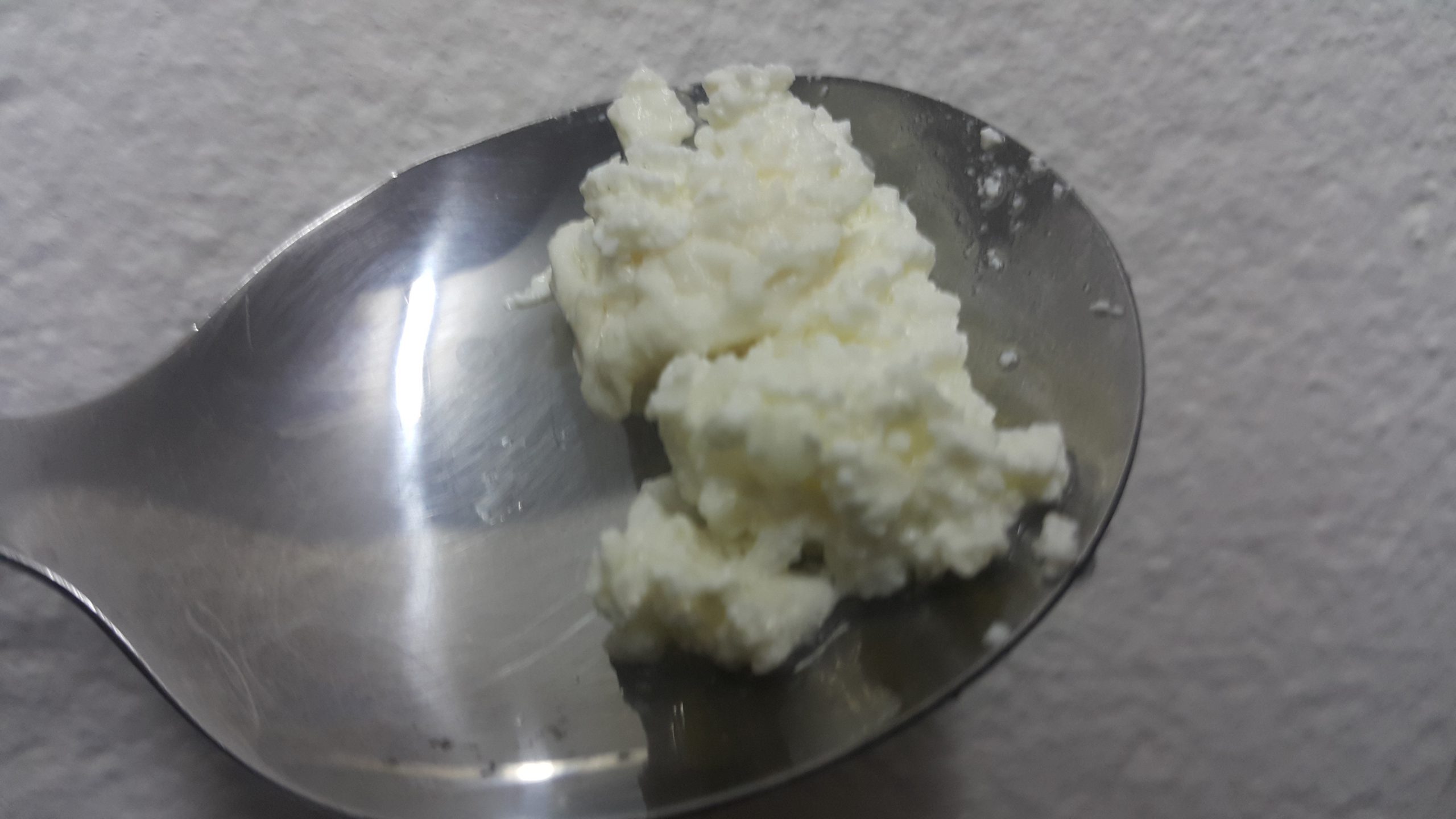 Milk Kefir Grains