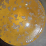 Water Kefir Grains Day 3