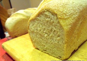 White Sourdough