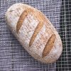 Glutton Free Sourdough
