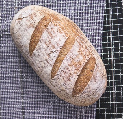 Glutton Free Sourdough